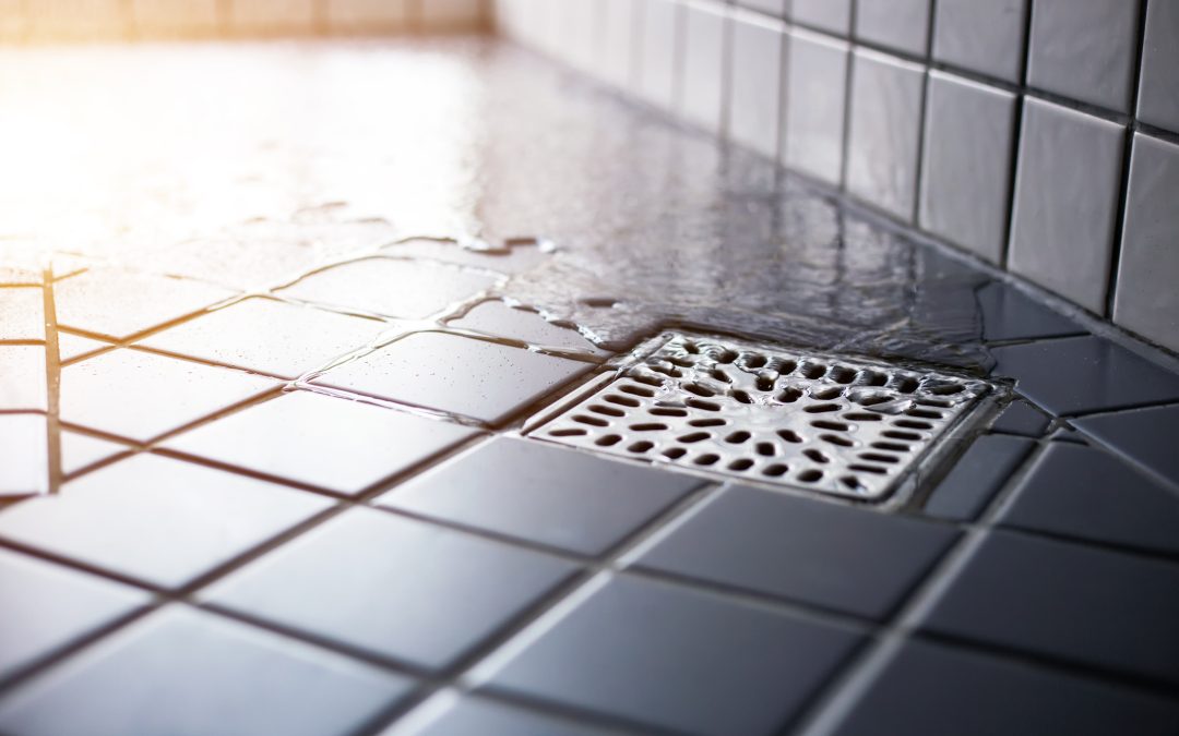 6 Proven Ways to Prevent Clogged Drains