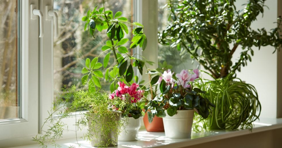 5 Simple Ways To Improve Winter Humidity In Your Home All A's Plumbing