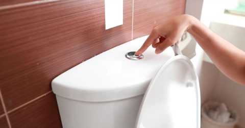 Common Reasons Toilet Won’t Flush: 8 Ways To Fix | All A's Plumbing