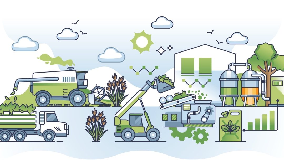 Biomass from field to fuel with renewable resources and oil to natural gas conversion concept